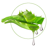 Aloe vera ekstrakt